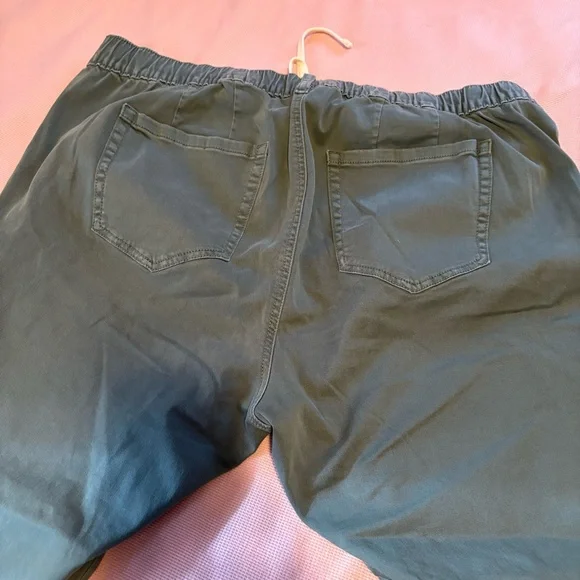 sz 2 TORRID Pull-On Weekend Straight Stretch Twill Pant NEW Dark Forest green - Picture 7 of 8